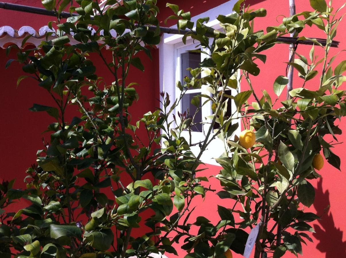 Verdemar Cercal do Alentejo Exterior foto